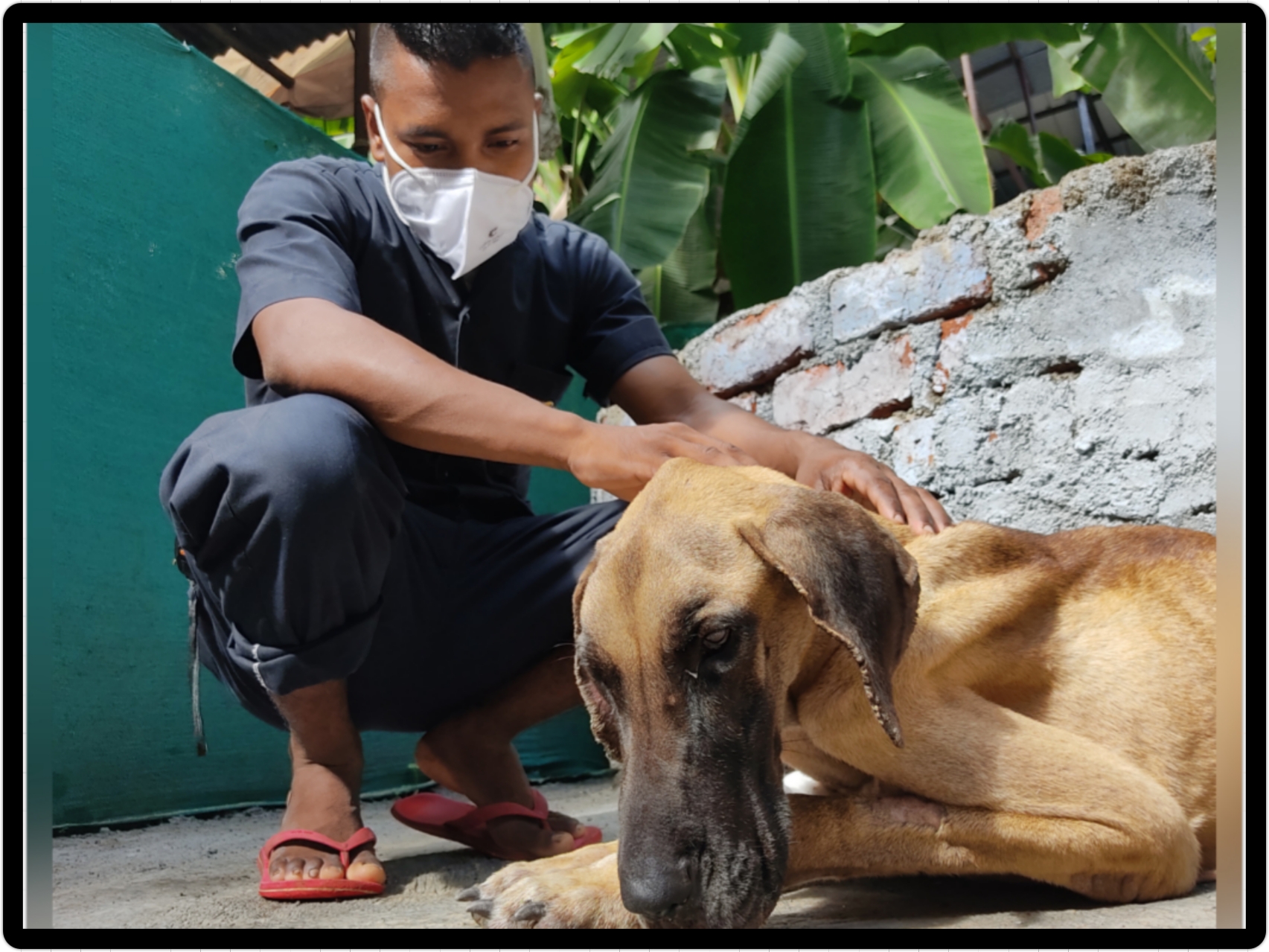 Welcome To Karma Animal Welfare Society Welcome To Karma Animal Welfare Society