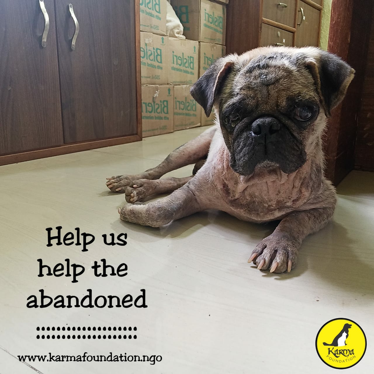 Welcome To Karma Animal Welfare Society Welcome To Karma Animal Welfare Society