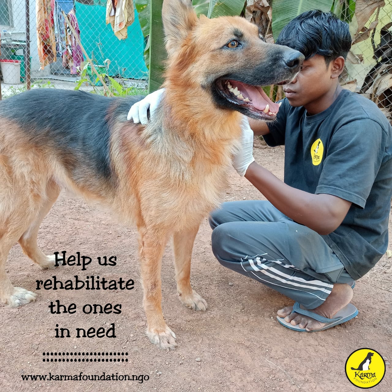 Welcome To Karma Animal Welfare Society Welcome To Karma Animal Welfare Society
